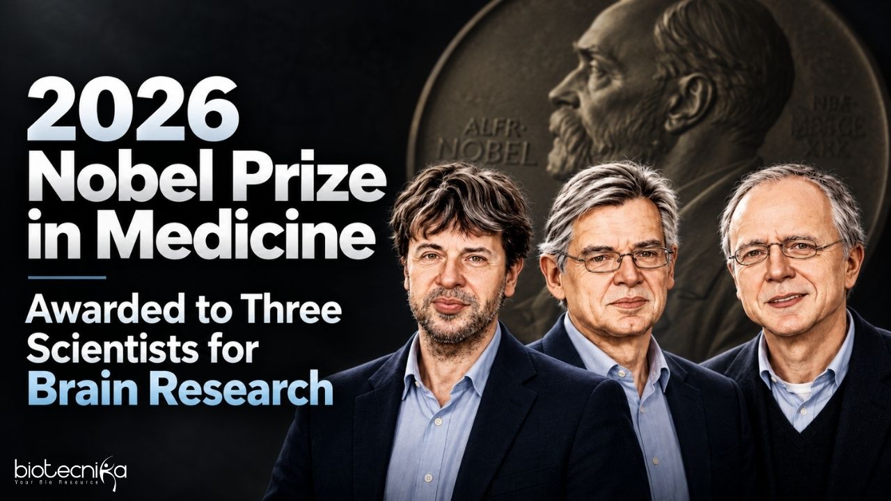 2026-Nobel-Prize-in-Medicine-Awarded-to-Three-Scientists-for-Brain-Research